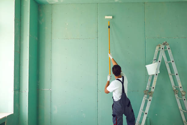 Best Mold Odor Removal Services  in Yerington, NV