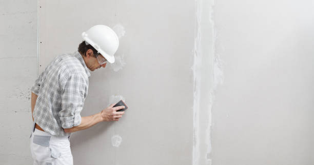 Best Comprehensive Air Testing for Mold Contaminants  in Yerington, NV