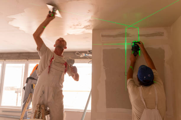 Best Black Mold Removal  in Yerington, NV