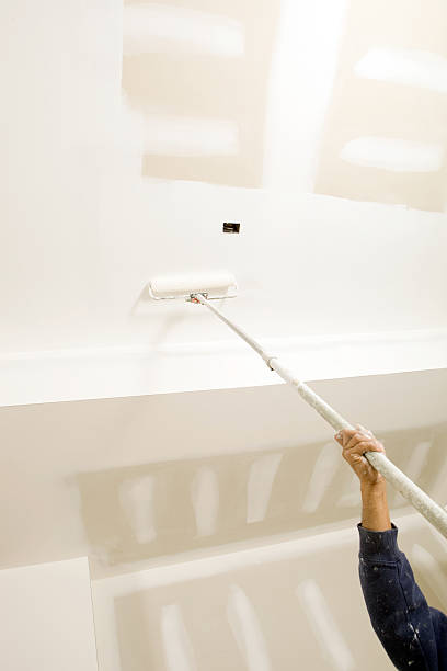 Professional Mold Removal in Yerington, NV