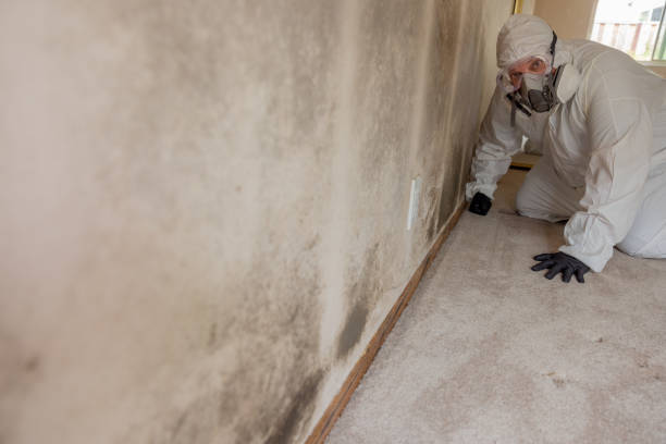 Best Mold Prevention Services  in Yerington, NV