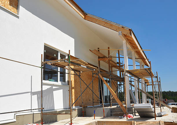 Best Forensic Mold Investigation  in Yerington, NV