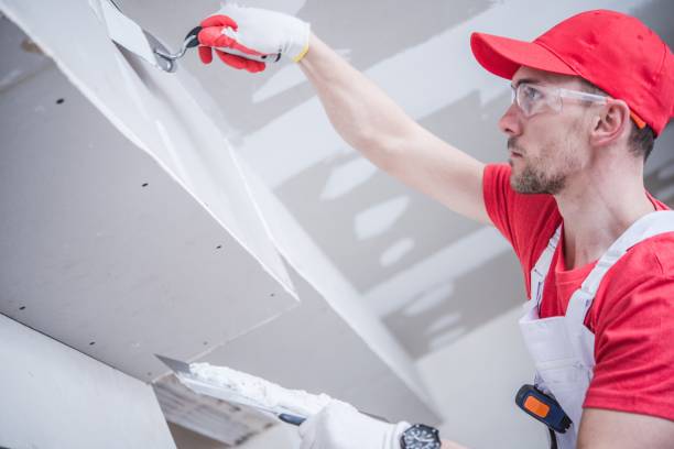  Yerington, NV Mold Removal Pros