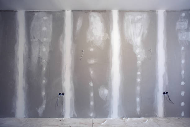 Best Basement Mold Removal  in Yerington, NV