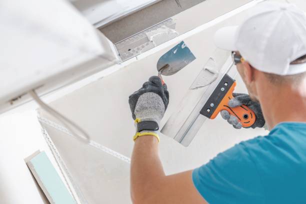 Best Emergency Mold Remediation  in Yerington, NV